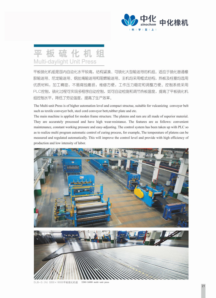 大平板硫化机